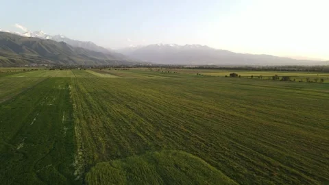 Flight over autumn fields with mountain background Stock Footage 243823511