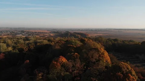 Flight Over the Autumn Forest and the Ruins of a Military Fortress Stock Footage 99143357