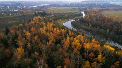 Flight over autumn forest and river. Stock Footage 105201094