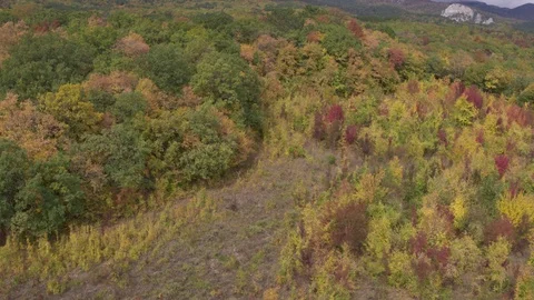 Flight over autumn forest and road Видео 123705484