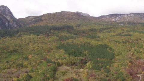 Flight over autumn forest and mountains in Crimea 動画素材 123705490