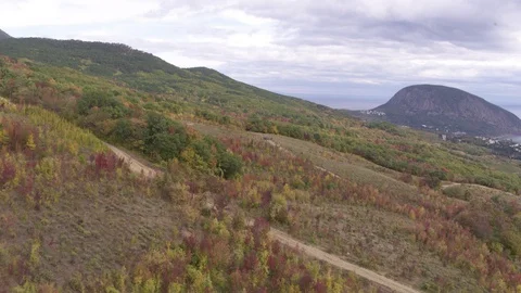 Flight over autumn forest and mountain Medved in Crimea Stock-Footage 123706148