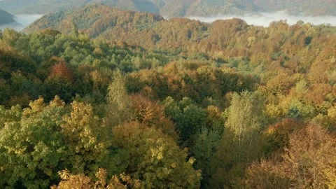 Flight over the autumn forest. Flying over the trees. Ukraine. Carpathians Stock Footage 146664409