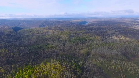 Flight over the autumn forest Stock Footage 76184023