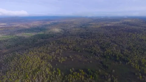 Flight over the autumn forest Stock Footage 76184741