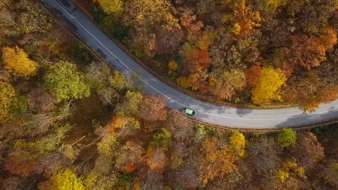 Flight over autumn forest Vídeo Stock 114116779