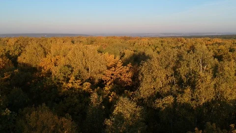 Flight over the autumn forest Stock-Footage 123282216