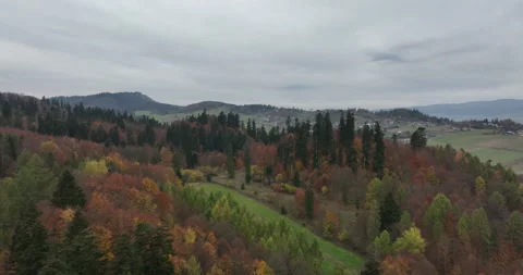Flight over autumn forest toward a village near Niedzica in Pieniny Видео 346643542