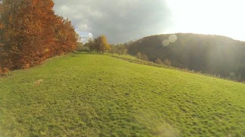 Flight over autumn grass Stock Footage 46294351