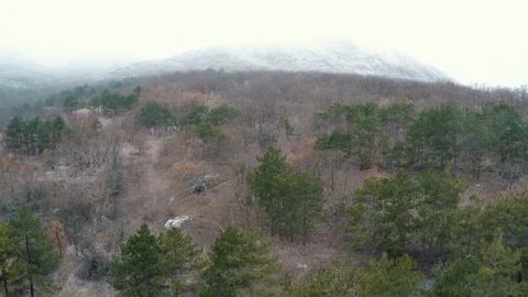 Flight over the autumn mixed forest in the mountains peaks in the snow and fog Video stock 88432813