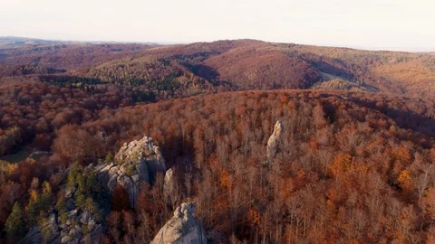 Flight over autumn mountain with forest Stock Footage 85786253