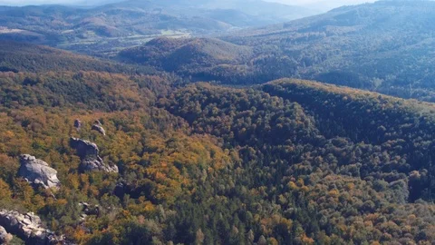 Flight over autumn mountain with forest Stock Footage 85786393