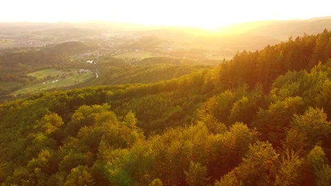 Flight over autumn mountains with forests. Stock Footage 79034721