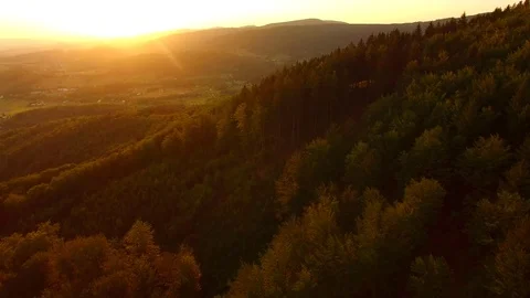 Flight over autumn mountains with forests. Stock Footage 79034791