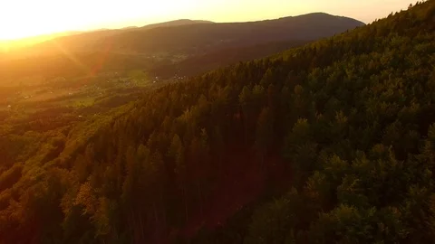 Flight over autumn mountains with forests. Stock Footage 79034827
