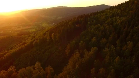 Flight over autumn mountains with forests. Stock Footage 79034883