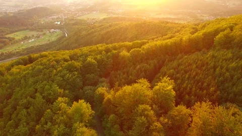 Flight over autumn mountains with forests. Stock Footage 79035025