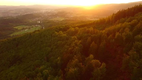 Flight over autumn mountains with forests. Stock Footage 79035108