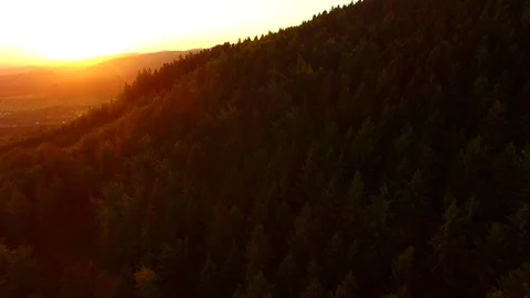 Flight over autumn mountains with forests. Stock Footage 79035169