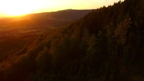Flight over autumn mountains with forests. Stock Footage 79035199