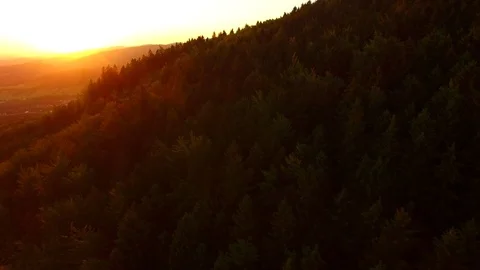 Flight over autumn mountains with forests. Stock Footage 79035552