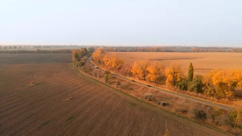 Flight Over the Autumn Road Stock Footage 97568616