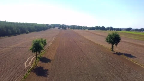 Flight over autumnal plowed fields in Poland.4k AERIAL. Stock Footage 160752351