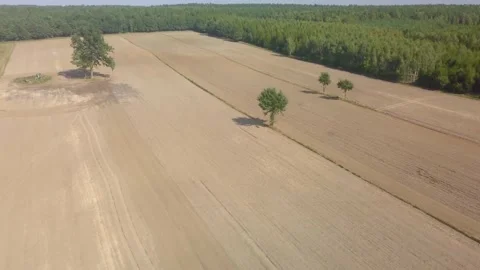 Flight over autumnal plowed fields in Poland.4k AERIAL. Stock Footage 160966713