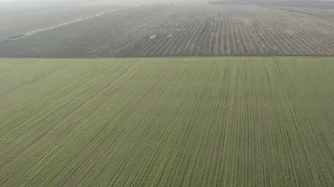 Flight over a beautiful field on a cloudy day Видео 150409305