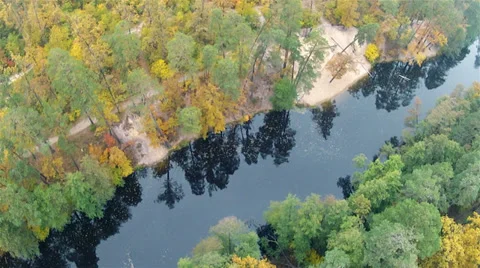 Flight over the beautiful  forest and river. Aerial clip Stock Footage 31706193