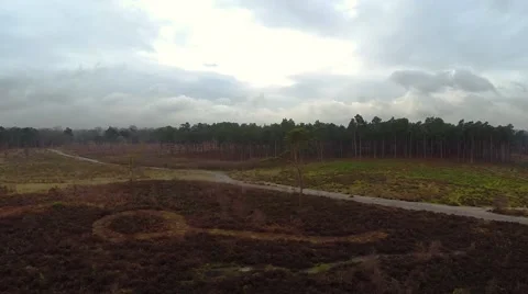 Flight over beautiful forest Video stock 46047790