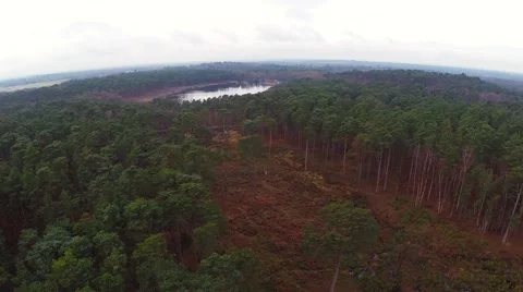 Flight over beautiful forest Stock Footage 46048481