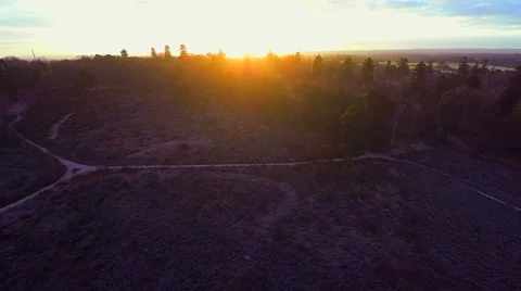 Flight over beautiful forest Stock Footage 46294418