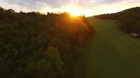 Flight over beautiful forest Stock Footage 54933999