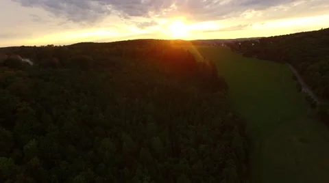 Flight over beautiful forest Stock Footage 54934010