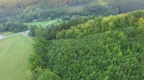 Flight over beautiful forest Stock Footage 54934138