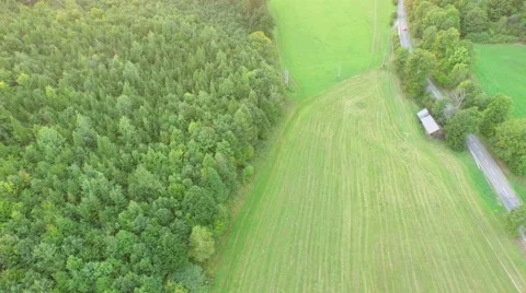 Flight over beautiful forest Stock Footage 54934379