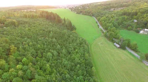Flight over beautiful forest Stock Footage 54934445