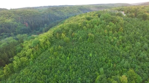 Flight over beautiful forest Stock Footage 54934838