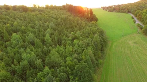 Flight over beautiful forest Stock Footage 54935045