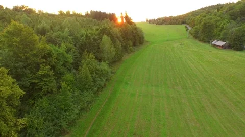 Flight over beautiful forest Stock Footage 54935053