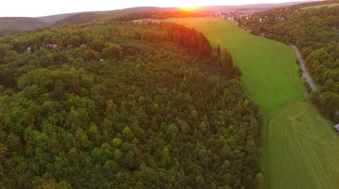 Flight over beautiful forest Stock Footage 54935619