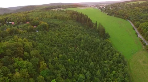 Flight over beautiful forest Stock Footage 54935697