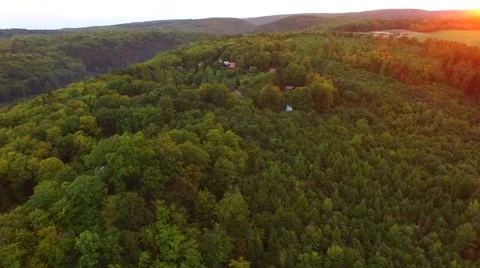 Flight over beautiful forest Stock Footage 54935796