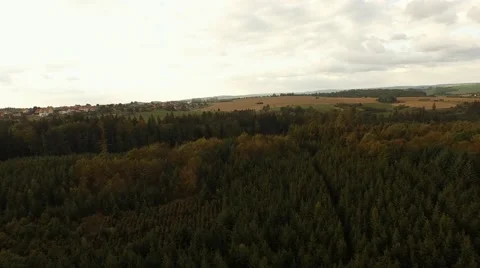 Flight over beautiful forest Stock Footage 55304203