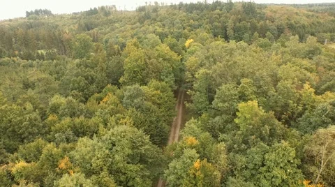 Flight over beautiful forest Stock Footage 55304767