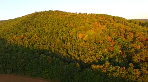 Flight over beautiful forest Stock Footage 55418253