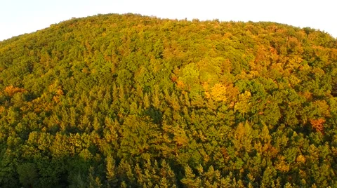 Flight over beautiful forest Stock Footage 55418937