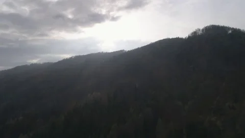 Flight over a beautiful forest hill in autumn with the sun in front, 4K Stock Footage 73811981
