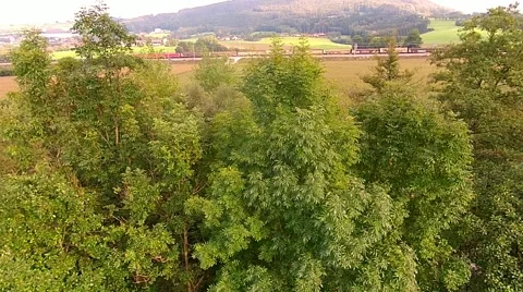 Flight Over Beautiful Forest In Sunny Day Vidéo 41767155